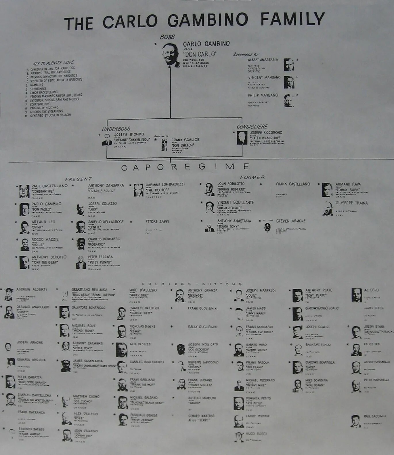 Carlo Gambino Family Chart Mafia Organized Crime Mob Mobster 8×10 PHOTO PRINT