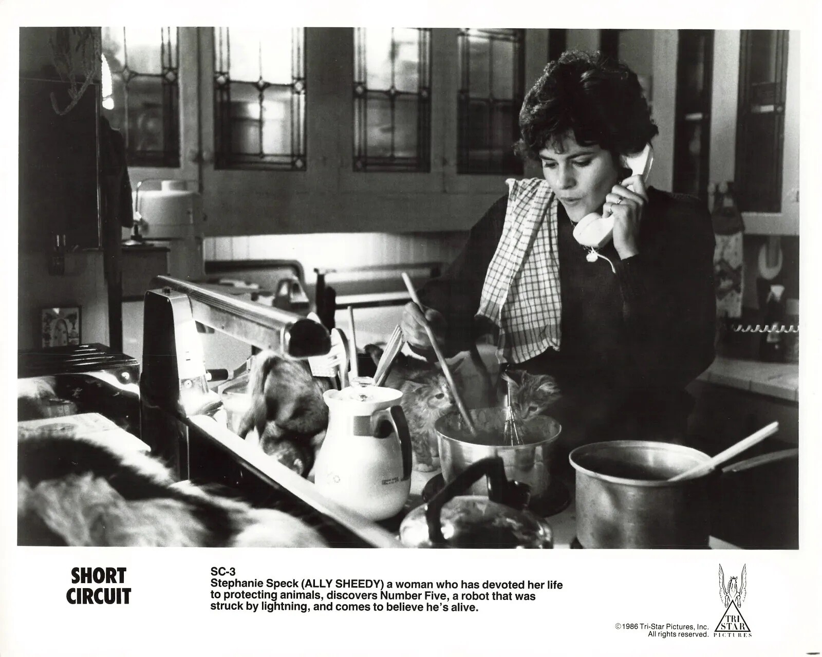Short Circuit 1986 Movie Ally Sheedy Kitchen Press Still 8×10 Picture Celebrity