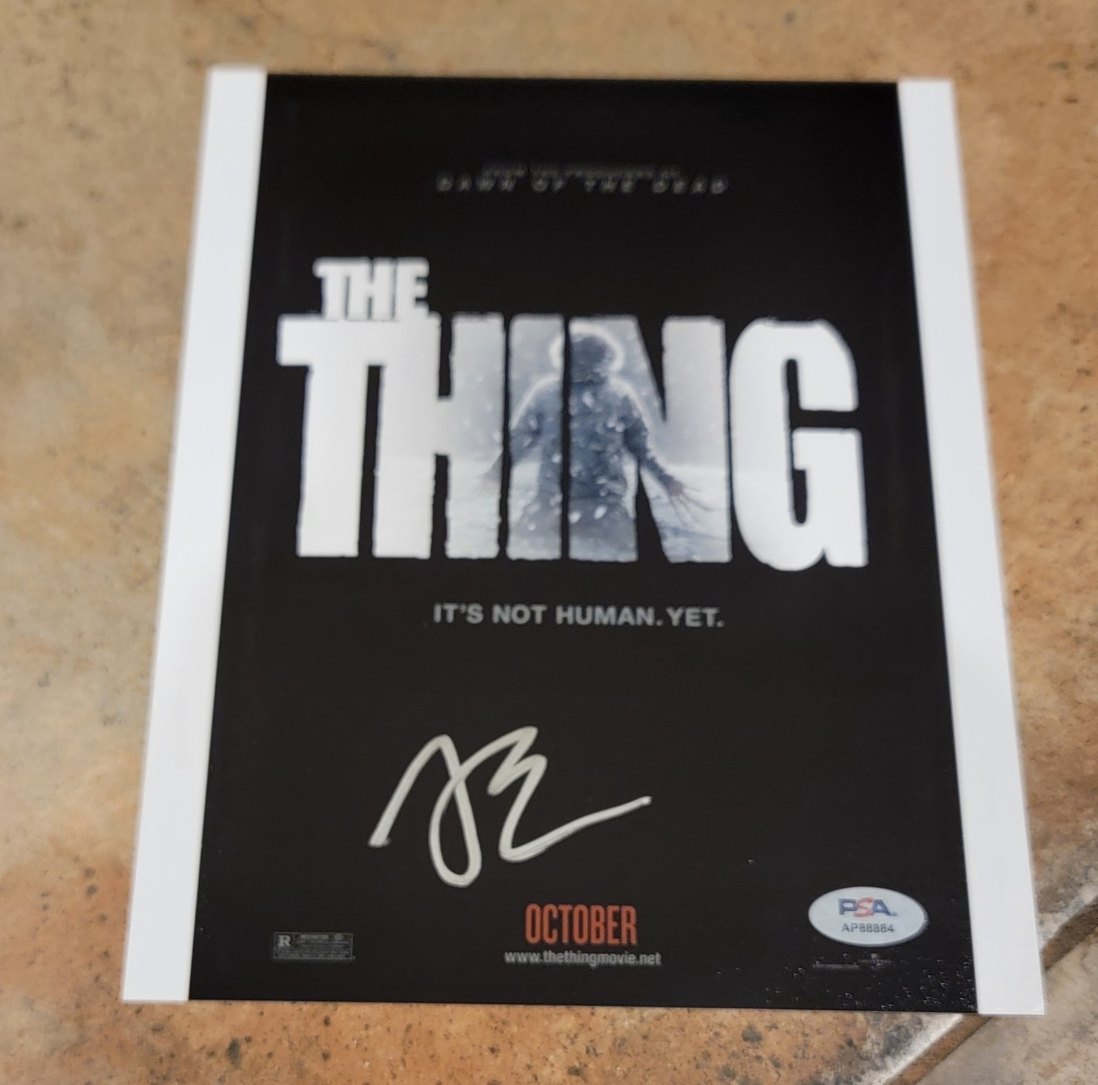 Joel Edgerton signed 8×10 photo PSA DNA autograph The Thing