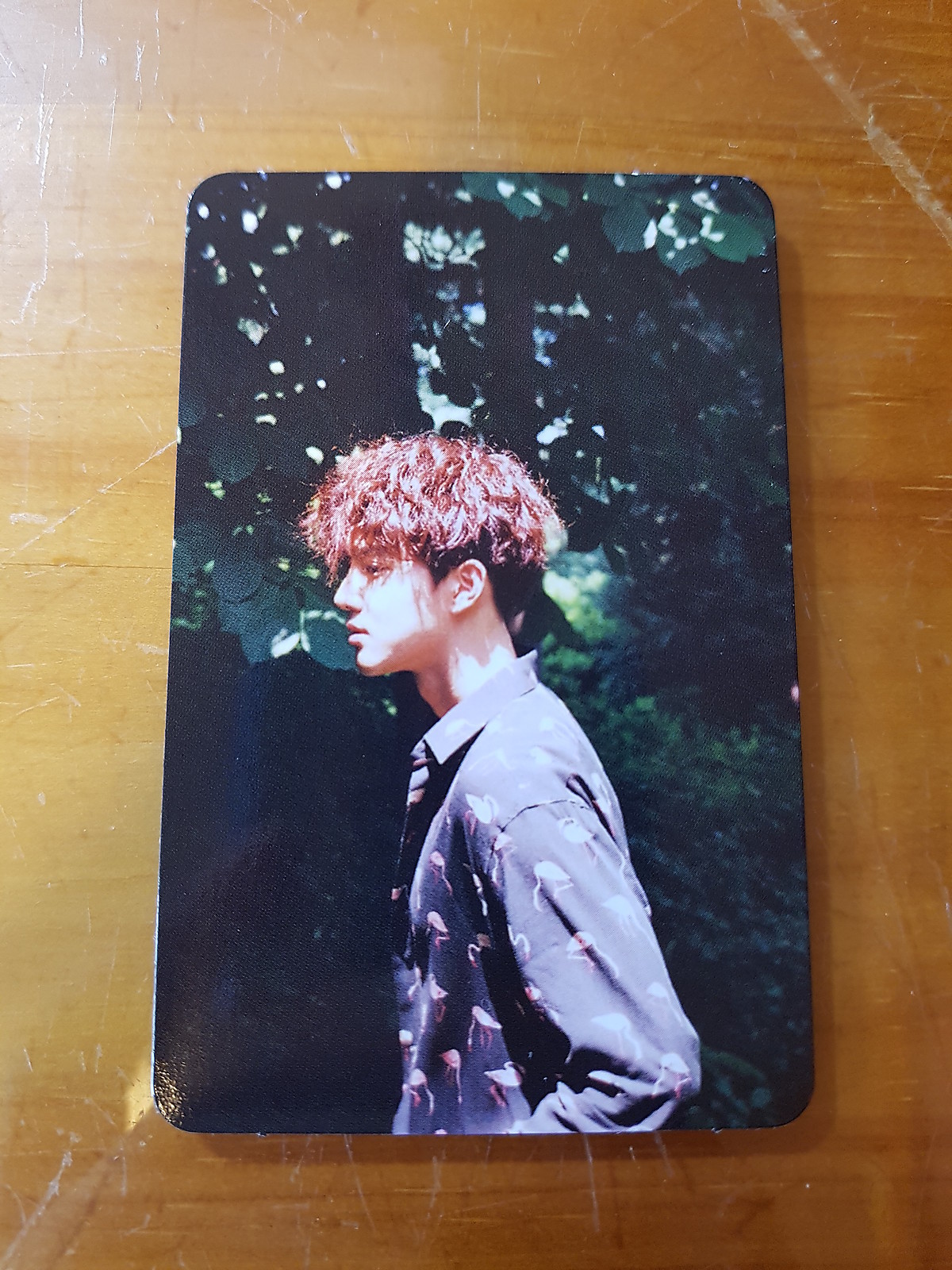 EXO 4th Album THE WAR Ko Ko Bop Suho Type-B Photo Card Official K-POP(45(17