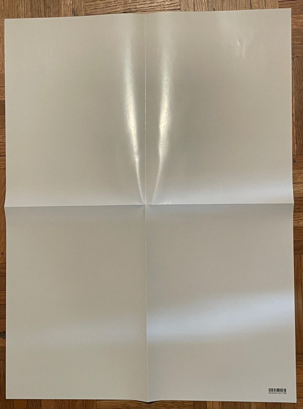 GREAT COND Serpent and the Rainbow Folded Poster 18×24 Shout Factory Wes Craven