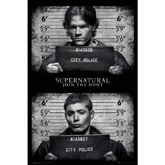 WARNER BROTHERS SUPERNATURAL POSTER BROTHERS MUG SHOTS 24×36 FREE SHIPPING