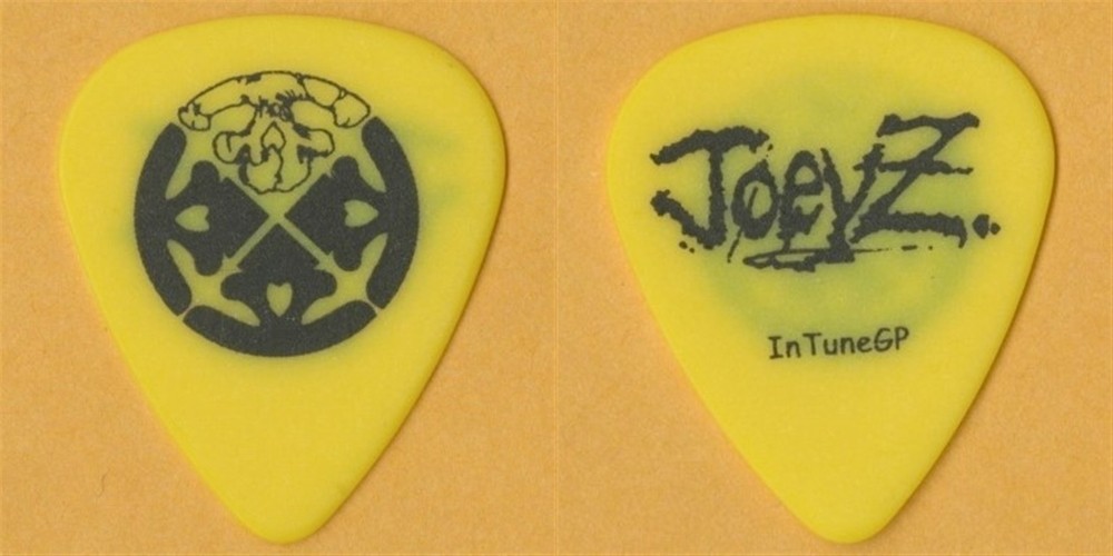 Life of Agony 2005 Broken Valley concert tour Joey Zampella stage Guitar Pick
