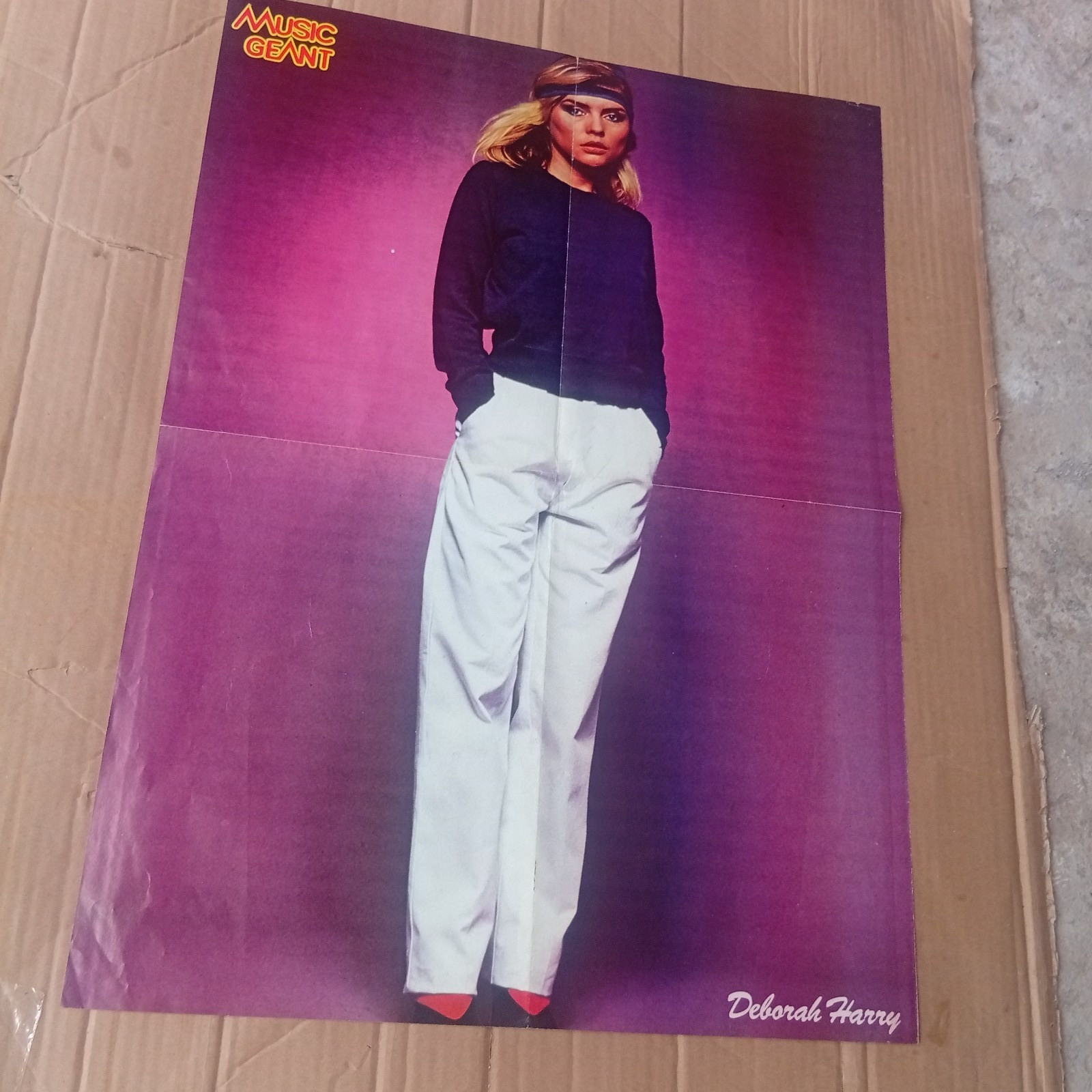Vintage Poster Deborah Harry Eddy Mitchell Wall Art Collectible Original 17×26