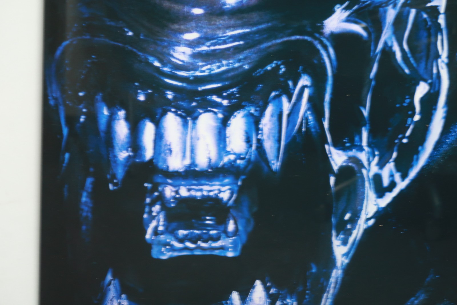 AVP Alien vs. Predator Poster Version A 2003 One Sheet 27 x 40 Rolled Summer 04