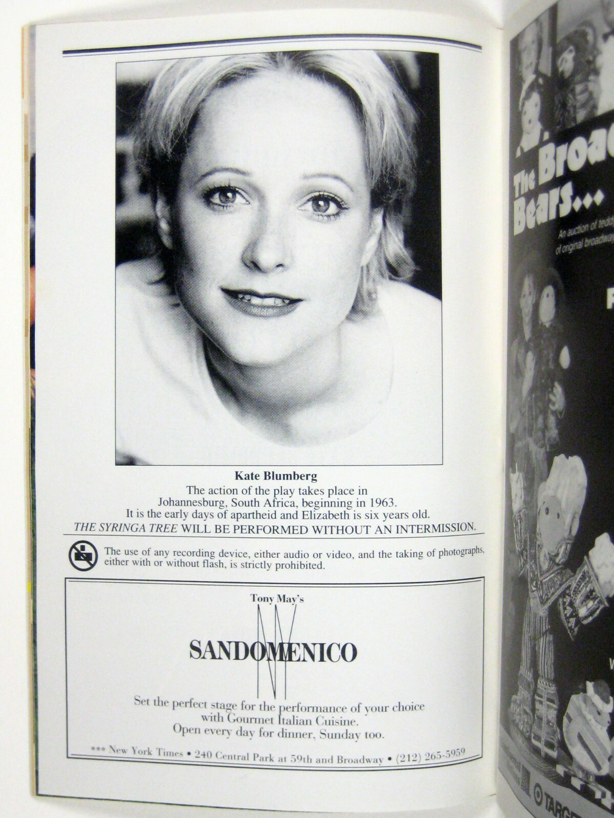 Syringa Tree Playbill January 2002 Kate Blumberg Pamela Gien Playhouse 91