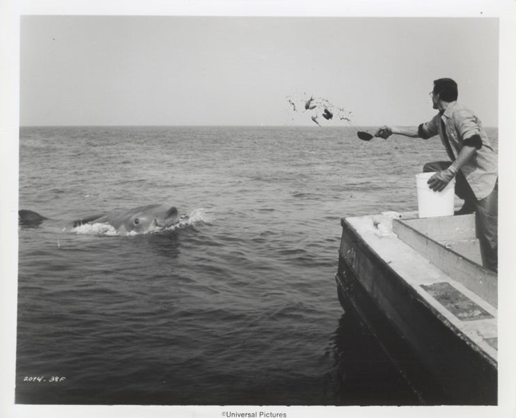 Jaws 1975 Roy Scheider Original 8×10 Photo Chief Brody chumming water to shark