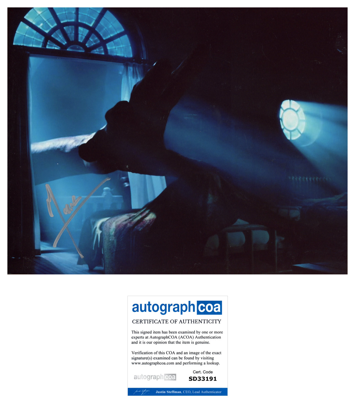 MARK RYLANCE SIGNED THE BFG 8×10 PHOTO w/EXACT PROOF & AUTOGRAPH ACOA COA