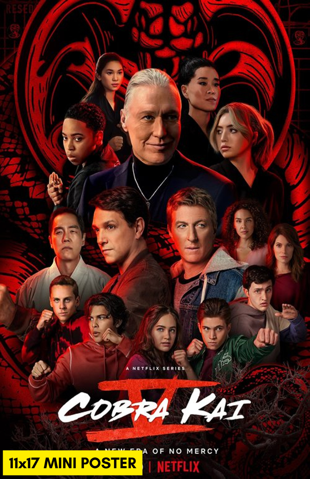 Cobra Kai V (2018) TV Movie Poster 11×17 Karate Kid Netflix