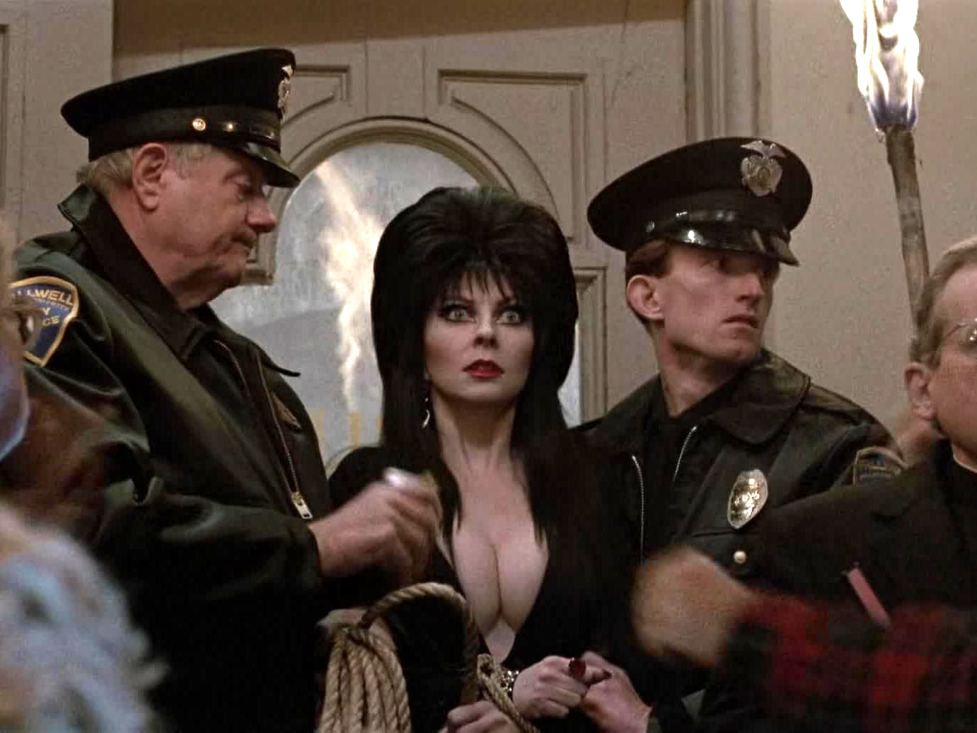 Elvira, Mistress of the Dark Movie Photo Print 8 x 10 Reproduction