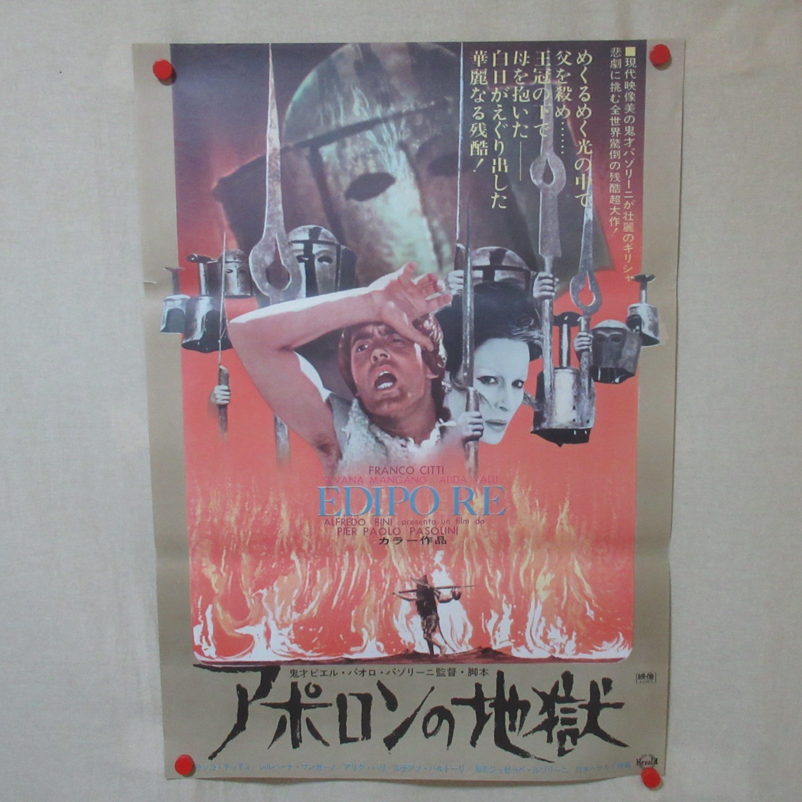 EDIPO RE OEDIPUS REX 1967′ Original Movie Poster Japanese B2 Pier Paolo Pasolini