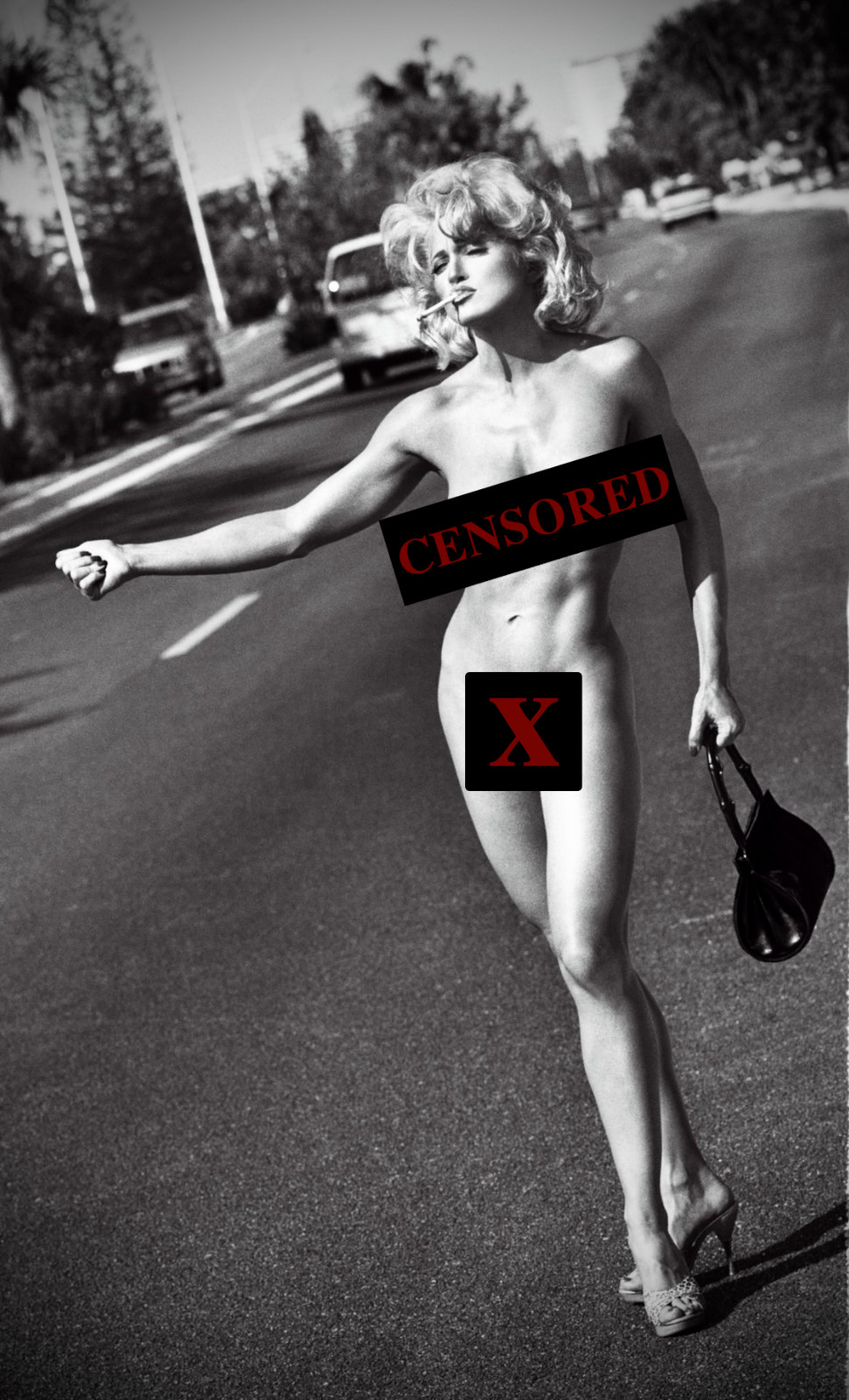 Madonna – Sex Book – Hitchhiker NSFW Poster 11×17