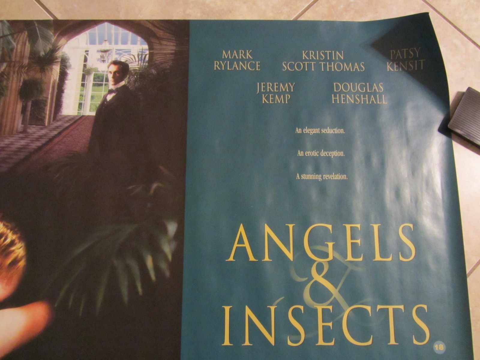 Angels and Insects movie poster : Patsy Kensit, Mark Rylance – 30 x 40 inches
