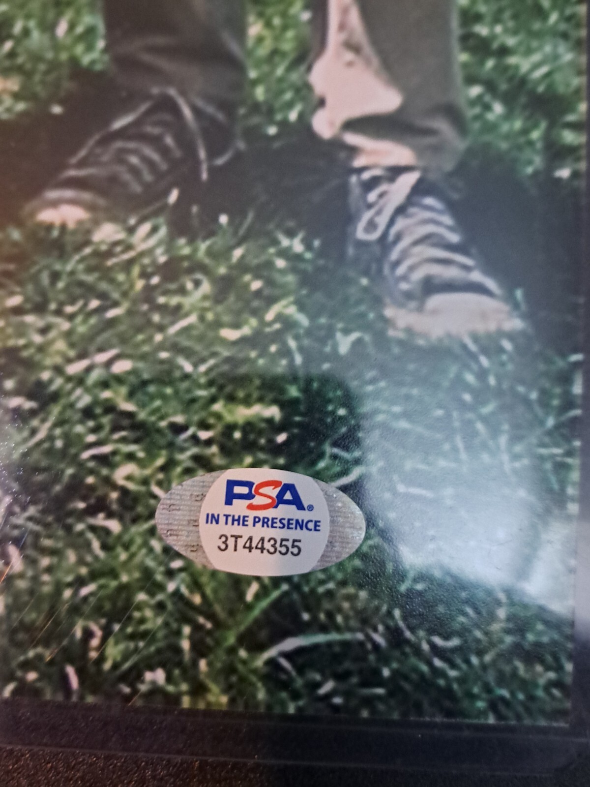 The Sandlot Movie Cast Signed by 8 16×20 Photo Renna PSA/DNA