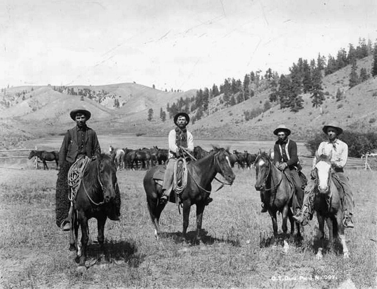 Cowboys Cattle Drive Old West Vintage 8×10 PHOTO PRINT