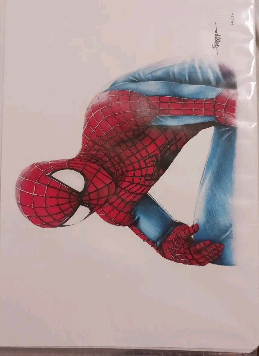 THANG NGUYEN Signed-Marvel Comics-SPIDER MAN 8×12 LE on Fine Art Paper #14/50