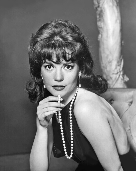 1962 Film Actress NATALIE WOOD 8×10 Photo ‘GYPSY’ Poster Glossy Print