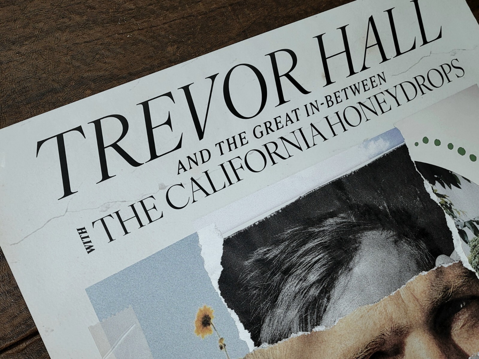 Trevor Hall 2023 Summer Tour Poster OFFICIAL Print 18 x 24 The Great In-Between