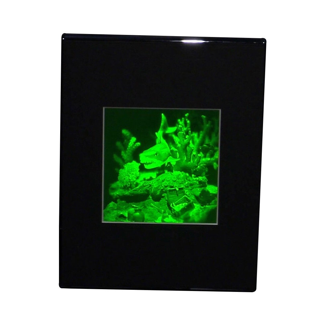 3D Shark (Reef) Hologram Picture DESK STAND, Collectible Polaroid Photopolymer