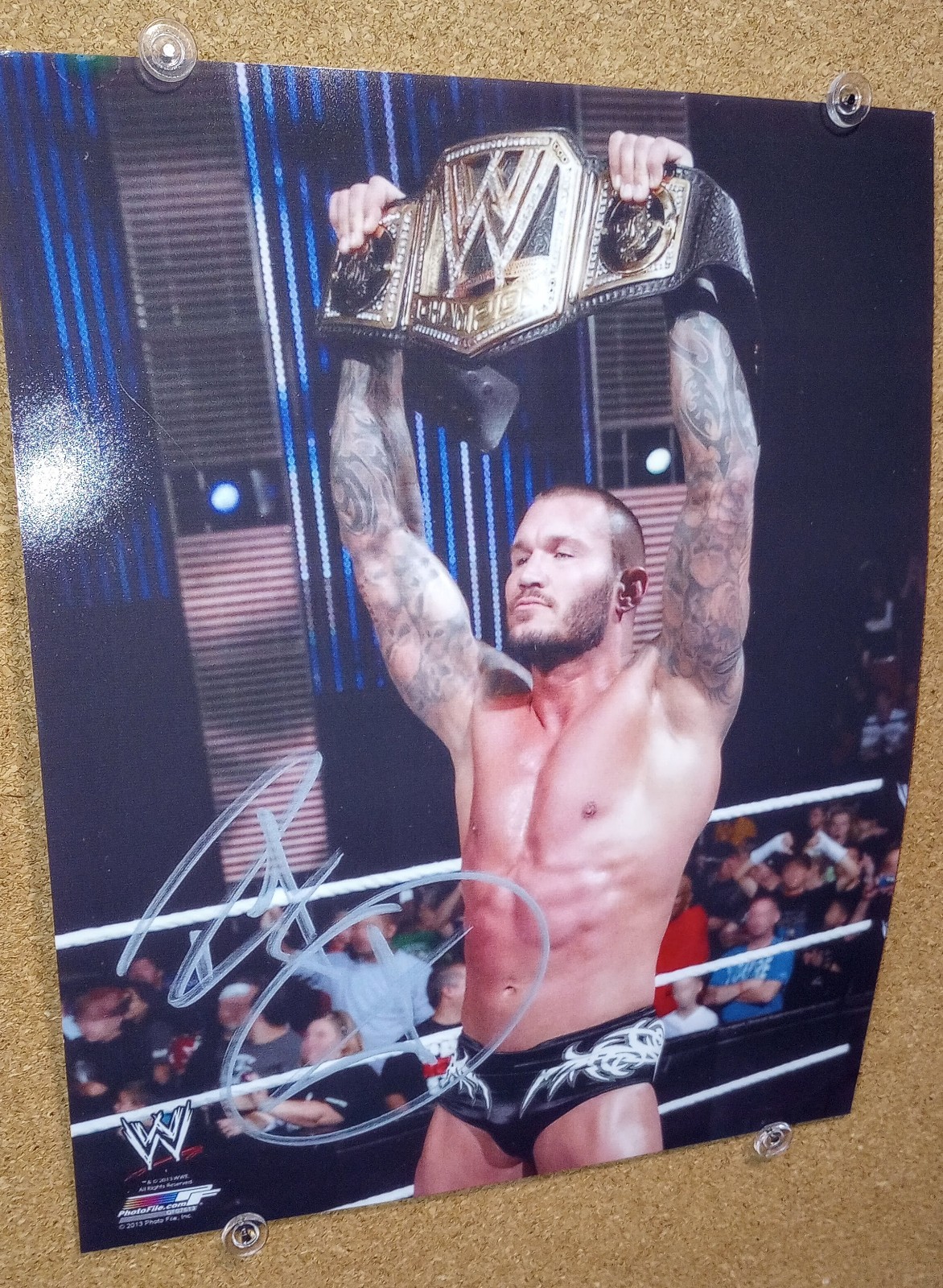 Randy Orton 8×10 signed color photo – clear pic, sharp sig, ready to frame