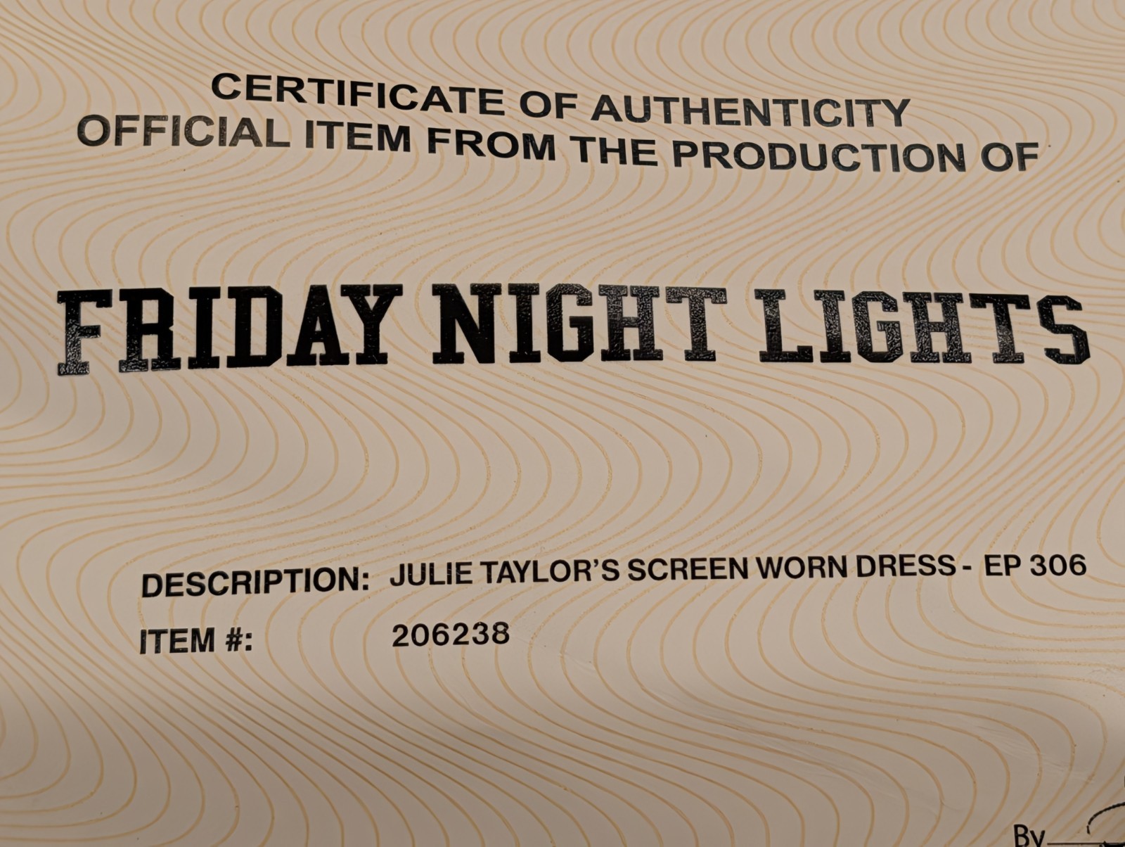 Friday Night Lights Julie Taylor Aimee Teegarden Screen Worn Dress Ep 306 COA