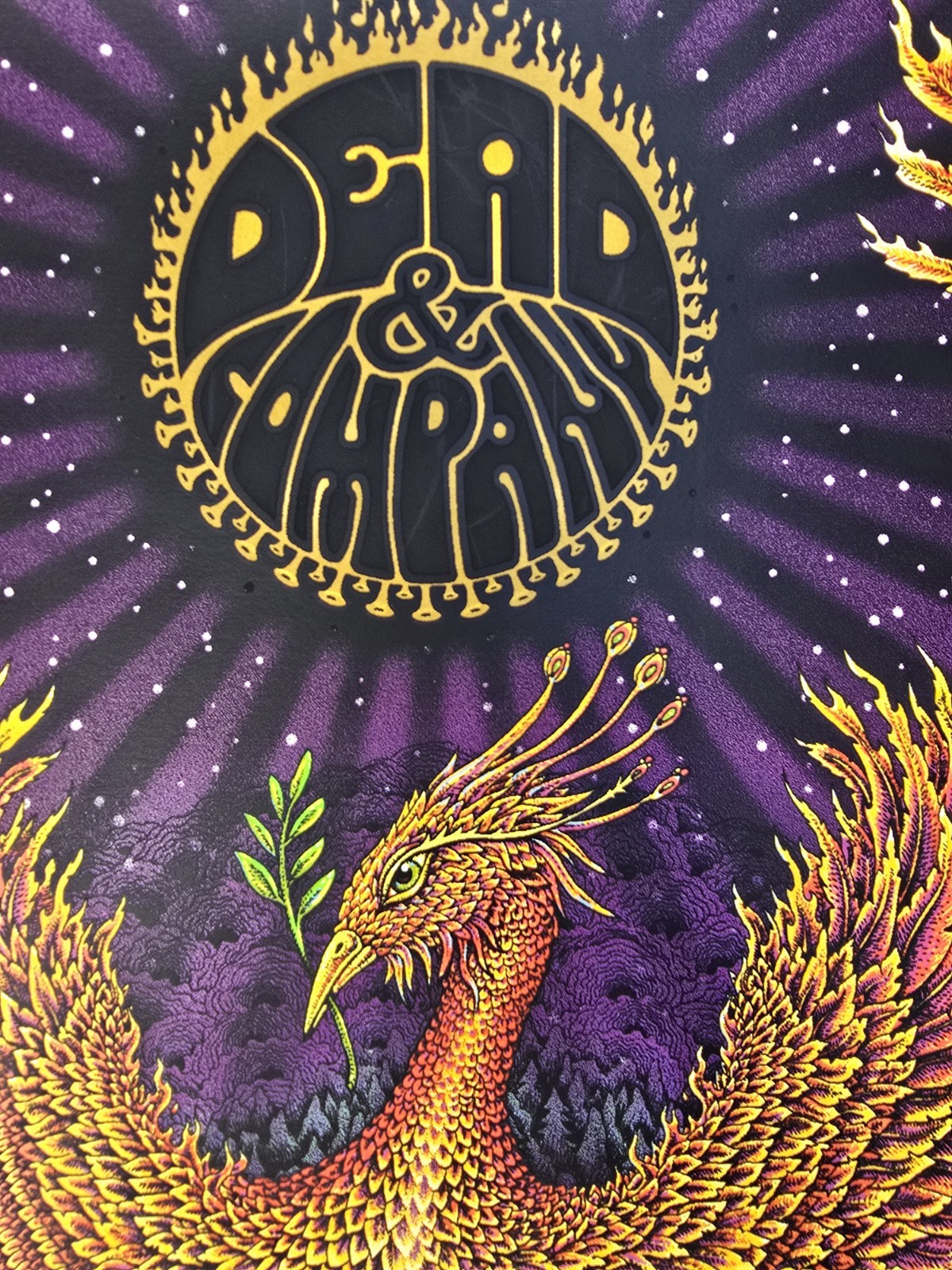 Dead and Company 2021 Tour Poster Bob Weir John Mayer #1433/22050 EMEK