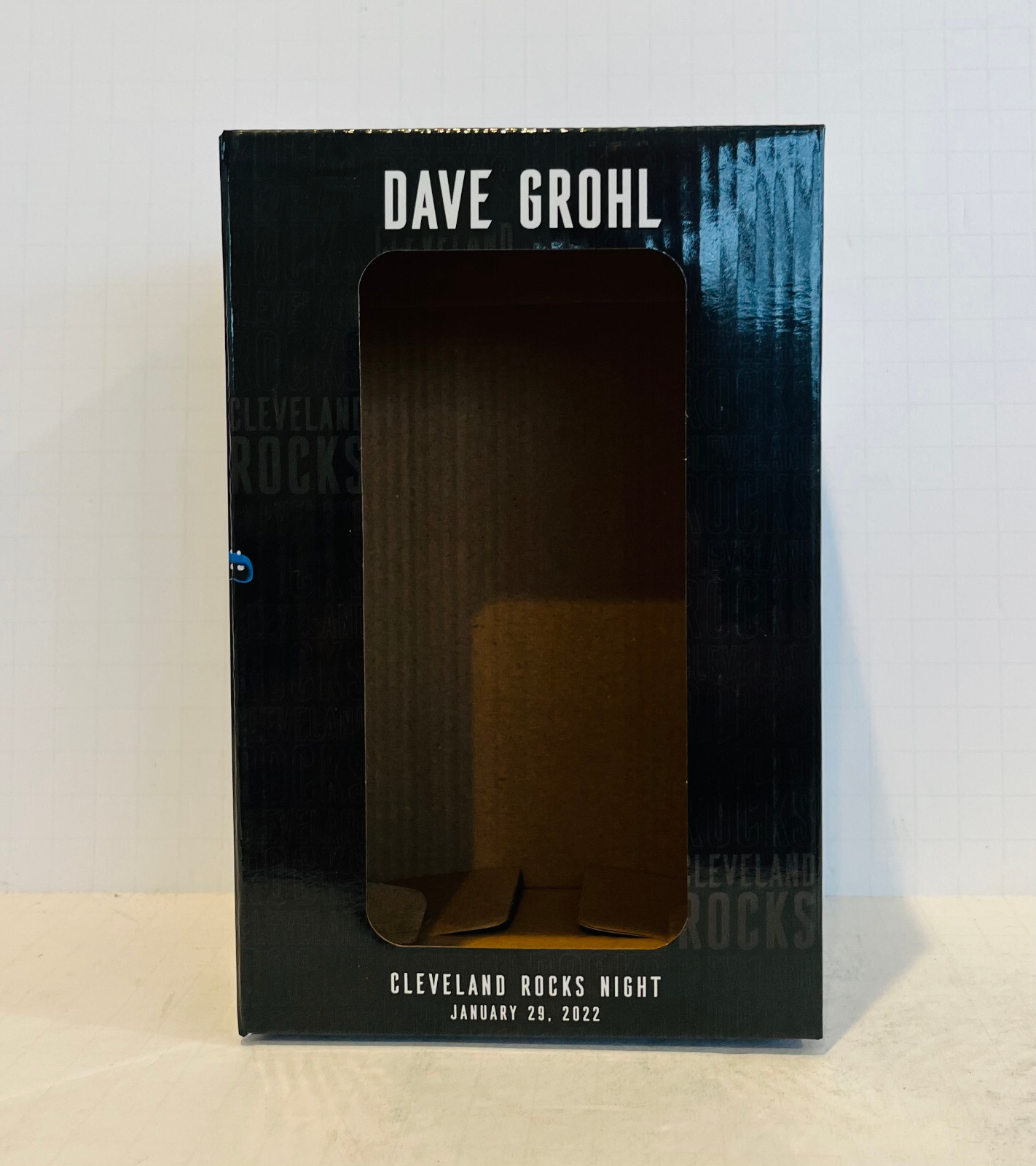 ** EMPTY DISPLAY BOX ** Dave Grohl Cleveland Foo Fighters Nirvana Bobblehead SGA