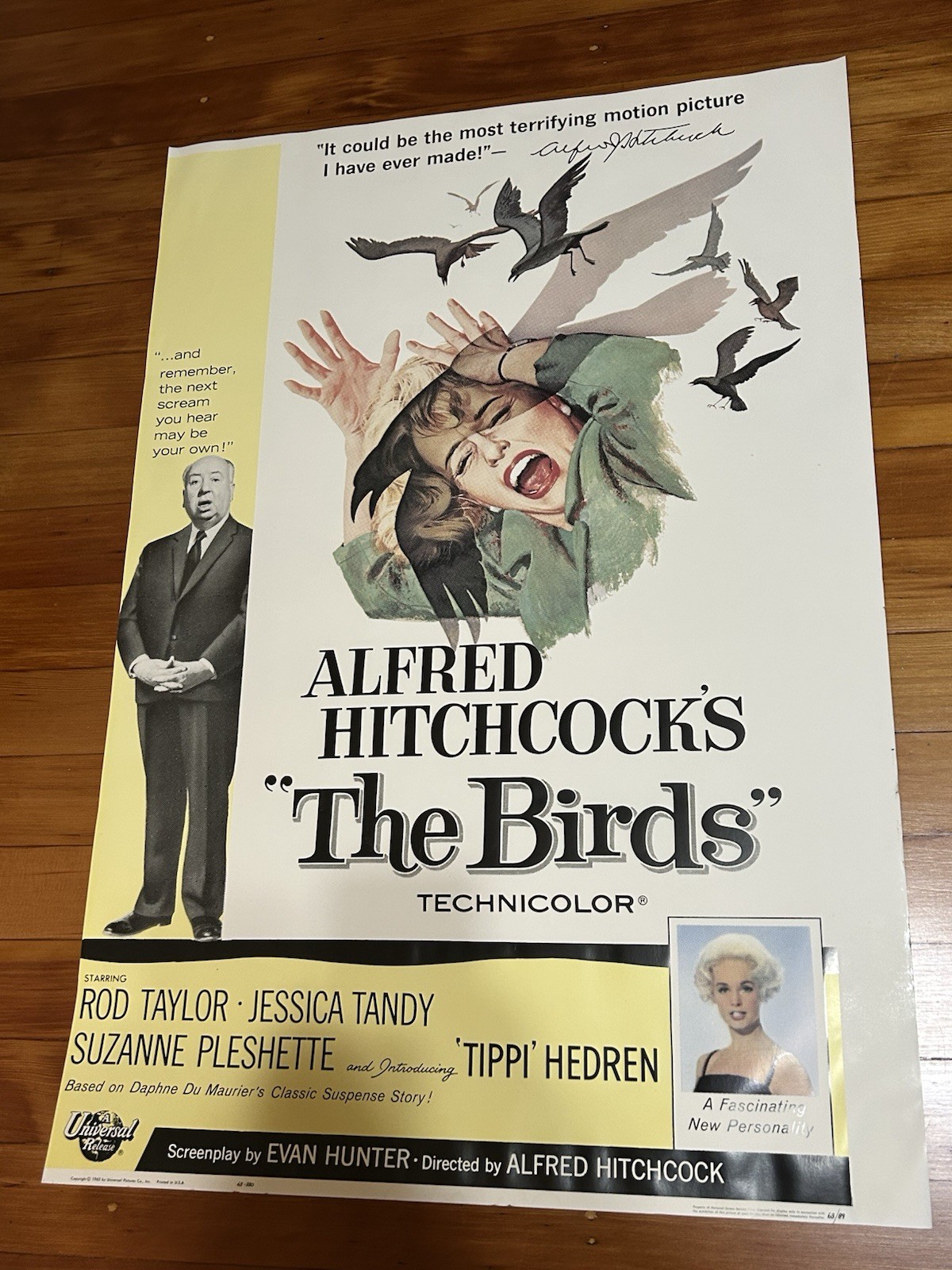 Alfred Hitchcock’s The Birds 1963 Movie Poster – 27 x 40