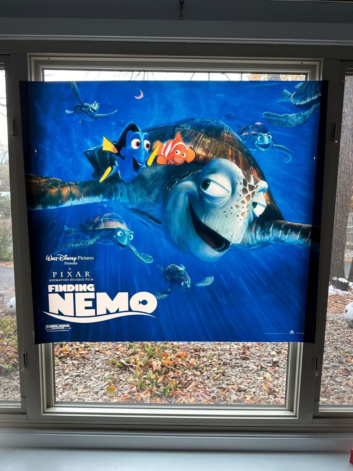 Finding Nemo – translucent movie display poster – 45.5″X40.5″ – Duratrans print