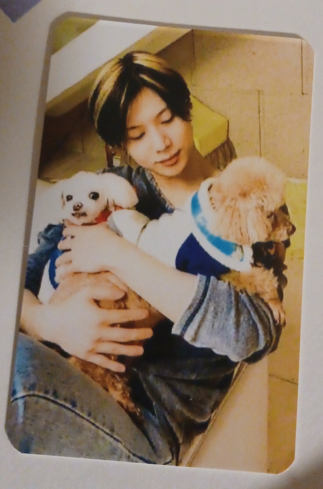 Shinee Taemin Unofficial Fan Made Photocard