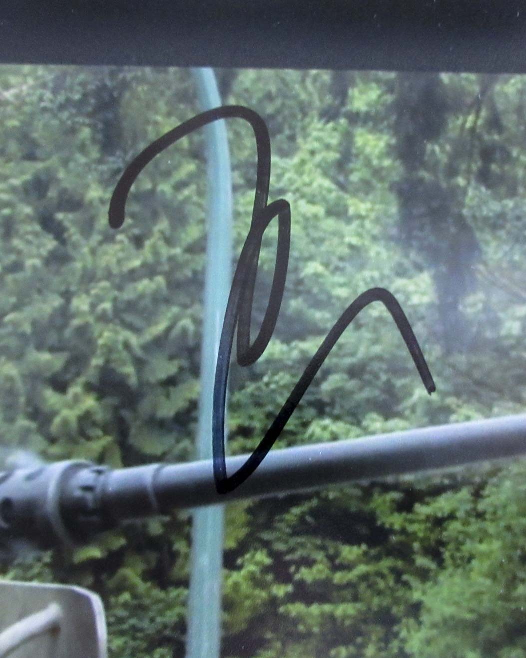Trevante Rhodes Signed Autographed ‘The Predator’ 8×10 Photo PROOF COA B