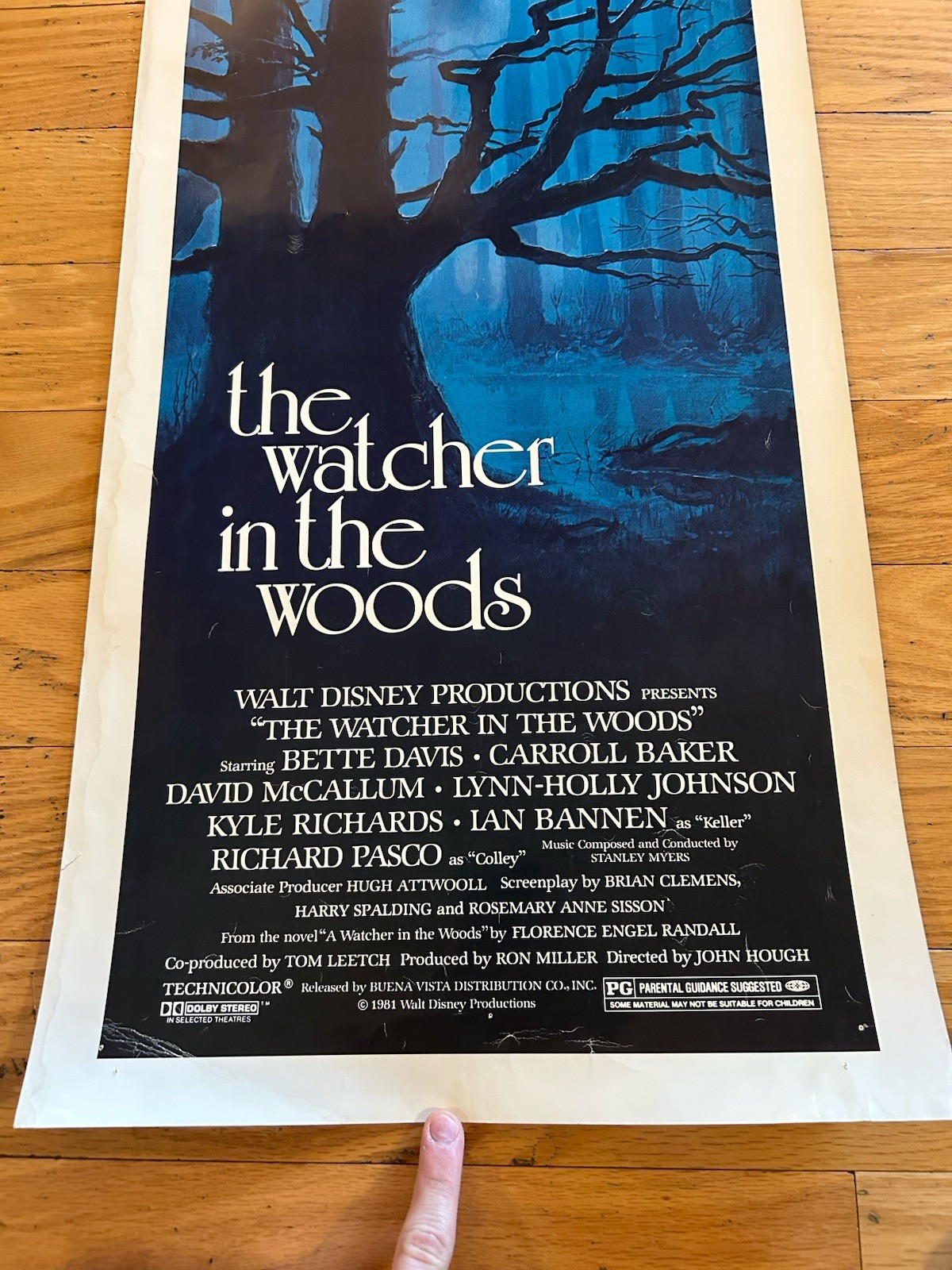 The Watcher in the Woods 14 x 36 Insert Movie Poster 1980 Bette Davis D McCallum