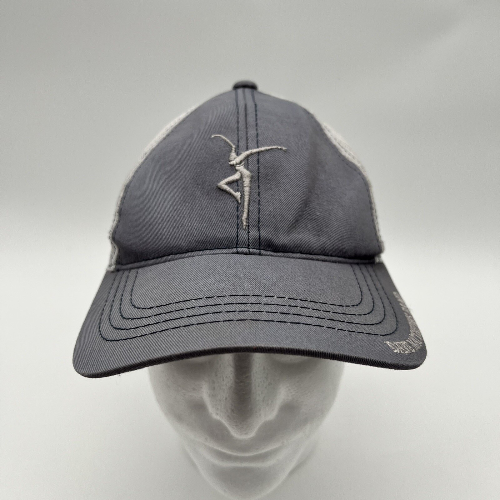 Vintage Dave Matthews Band Concert Tour Hat Cap Snap Back Embroidered Legacy