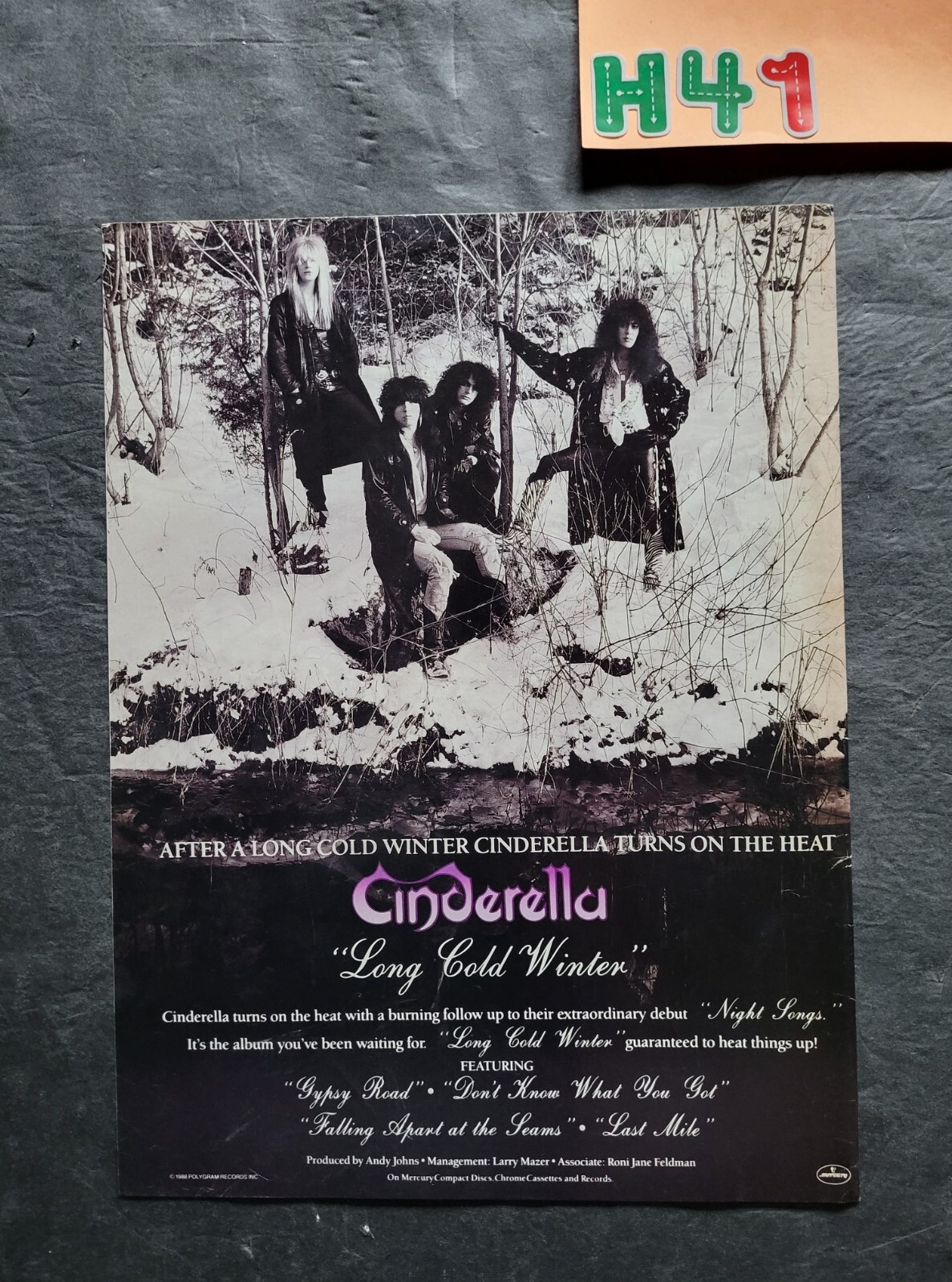 Cinderella Long Cold Winter Album Promo Print Advertisement Vintage 1988