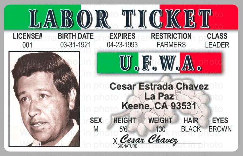 Cesar Estrada Chavez United Farm Workers Labor Ticket License Card Novelty ID