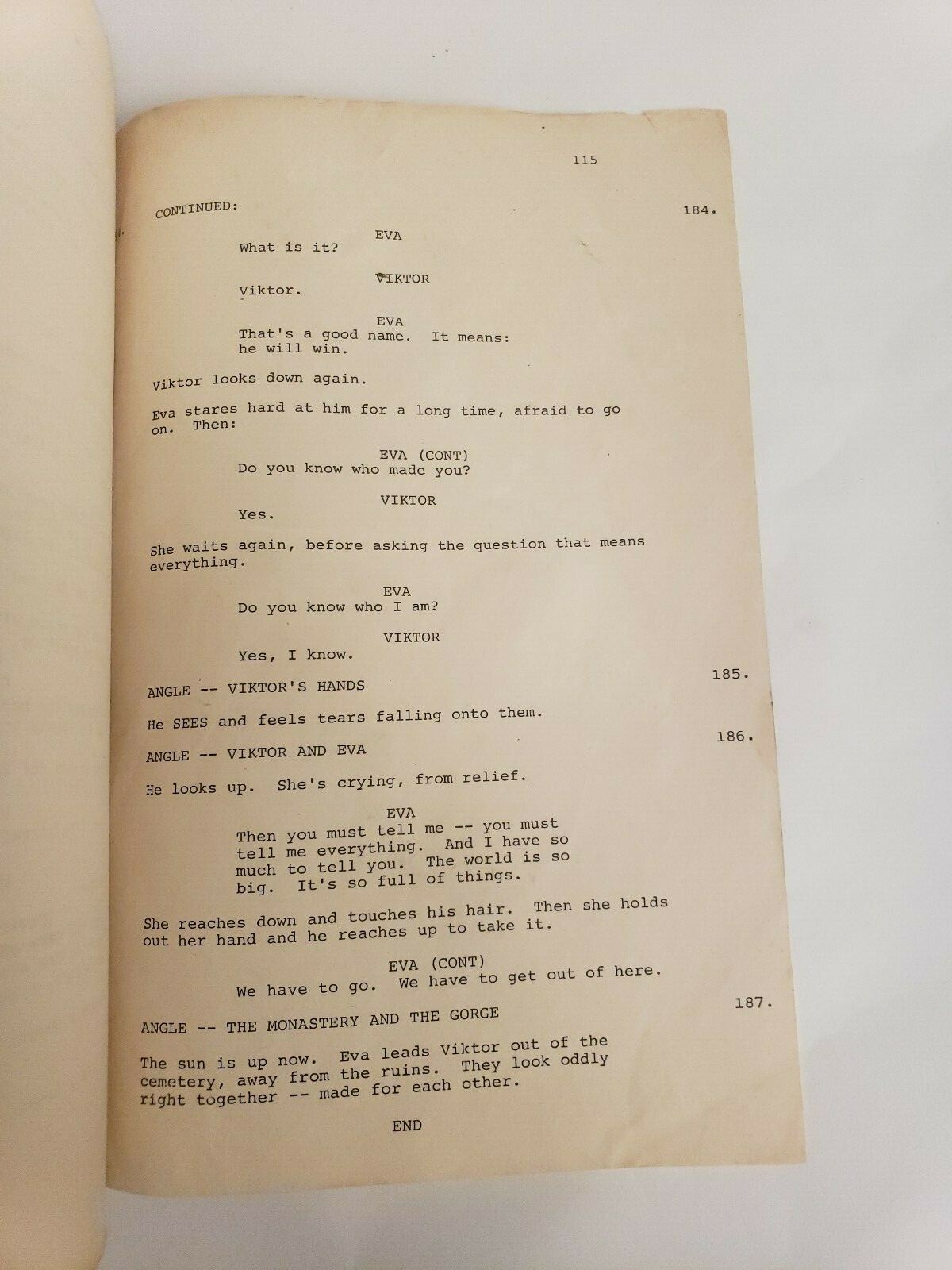 THE BRIDE / Lloyd Fonvielle 1984 Screenplay STING plays Frankenstein Horror Film