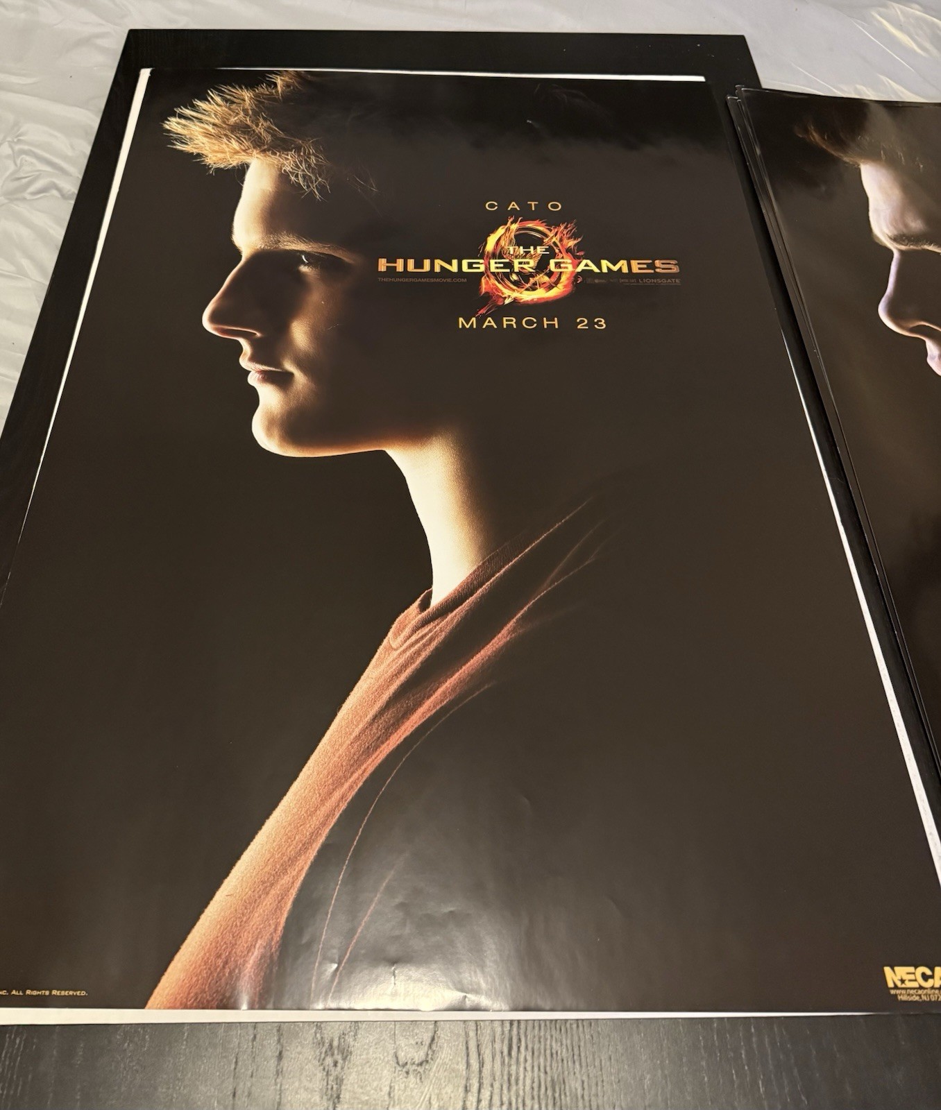 Hunger Games CHARACTER Posters – NECA LIMITED EDITION/2500 – Complete Set of 8!