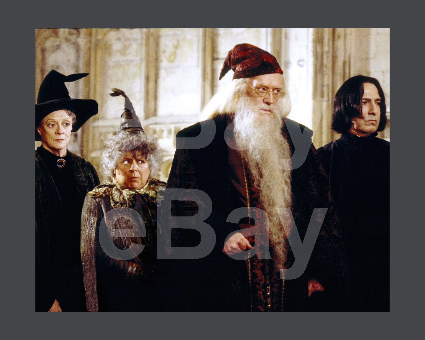 Harry Potter and the Chamber of Secrets (2002) Alan Rickman 16×12 Photo Poster