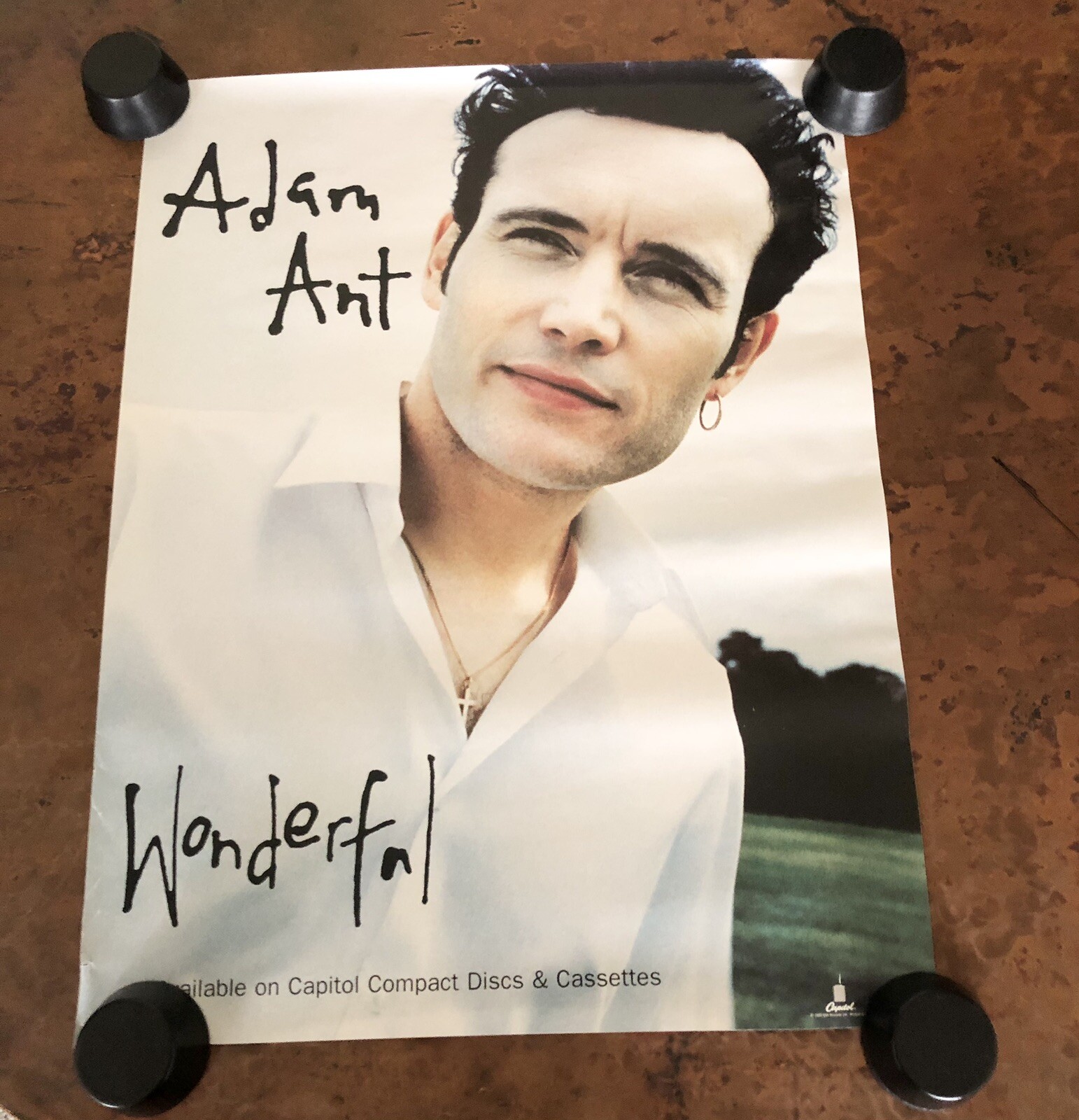 Adam Ant Promotional Poster 1995 Capitol Records Wonderful Color Rolled 18 x 24