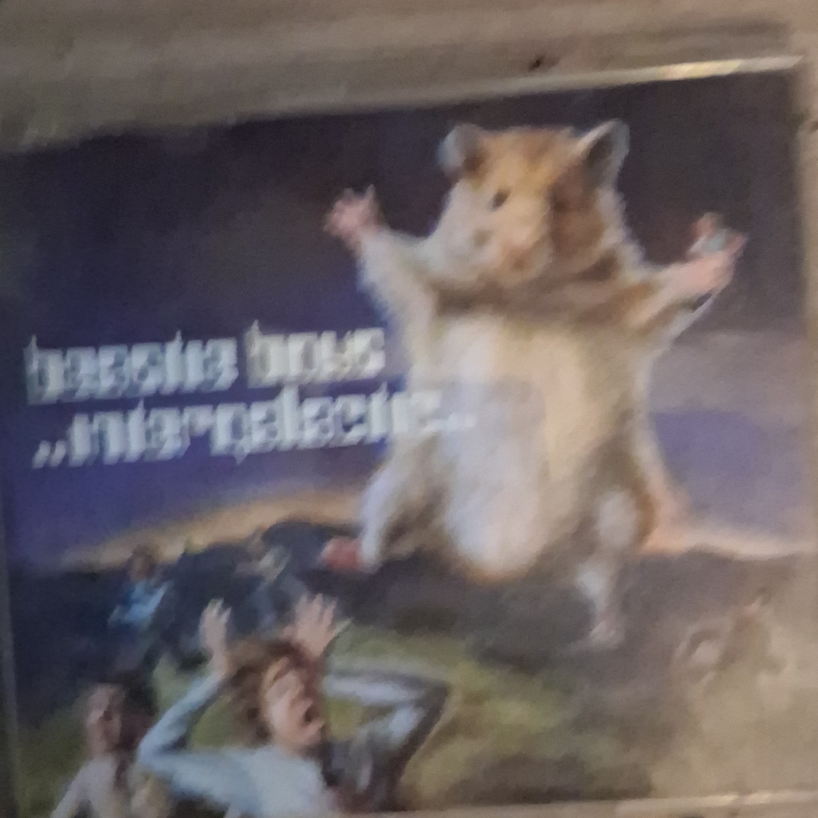 Beastie Boys Intergalactic