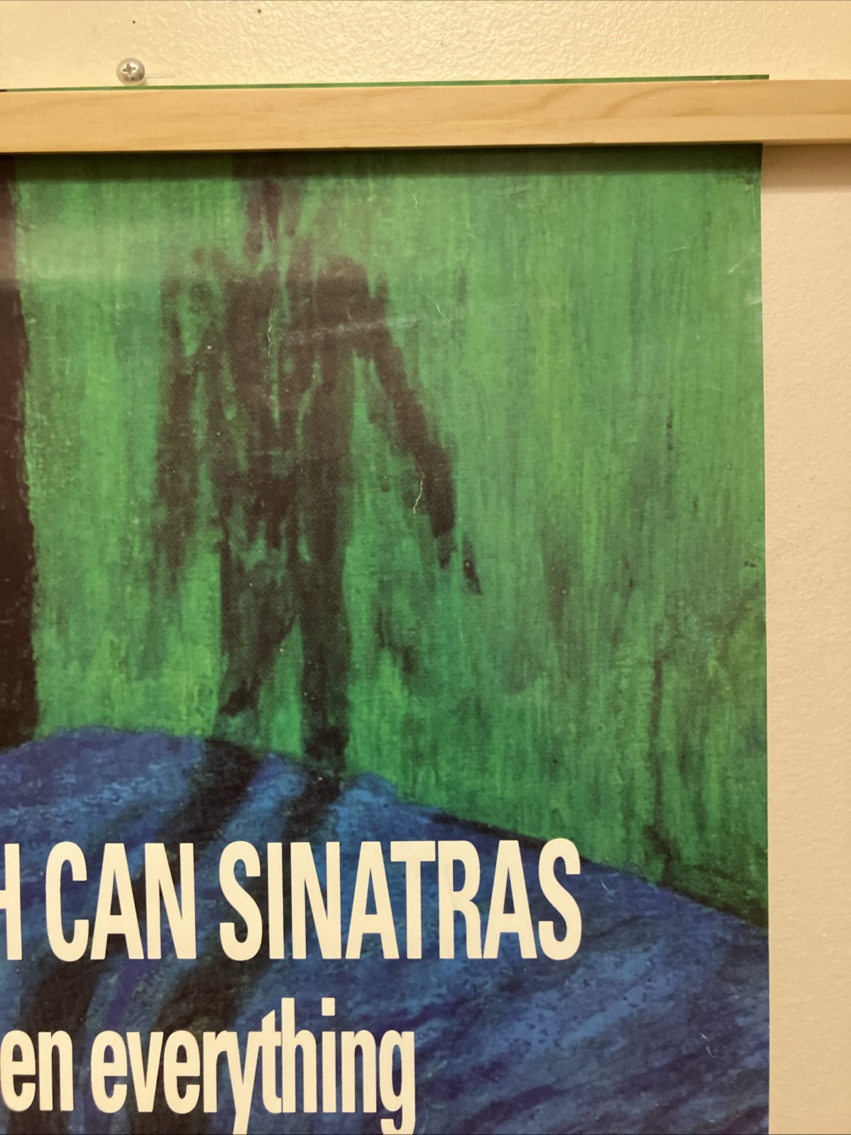 Trash Can Sinatras I’ve Seen Everything 1993 Promo Poster 18”x24”
