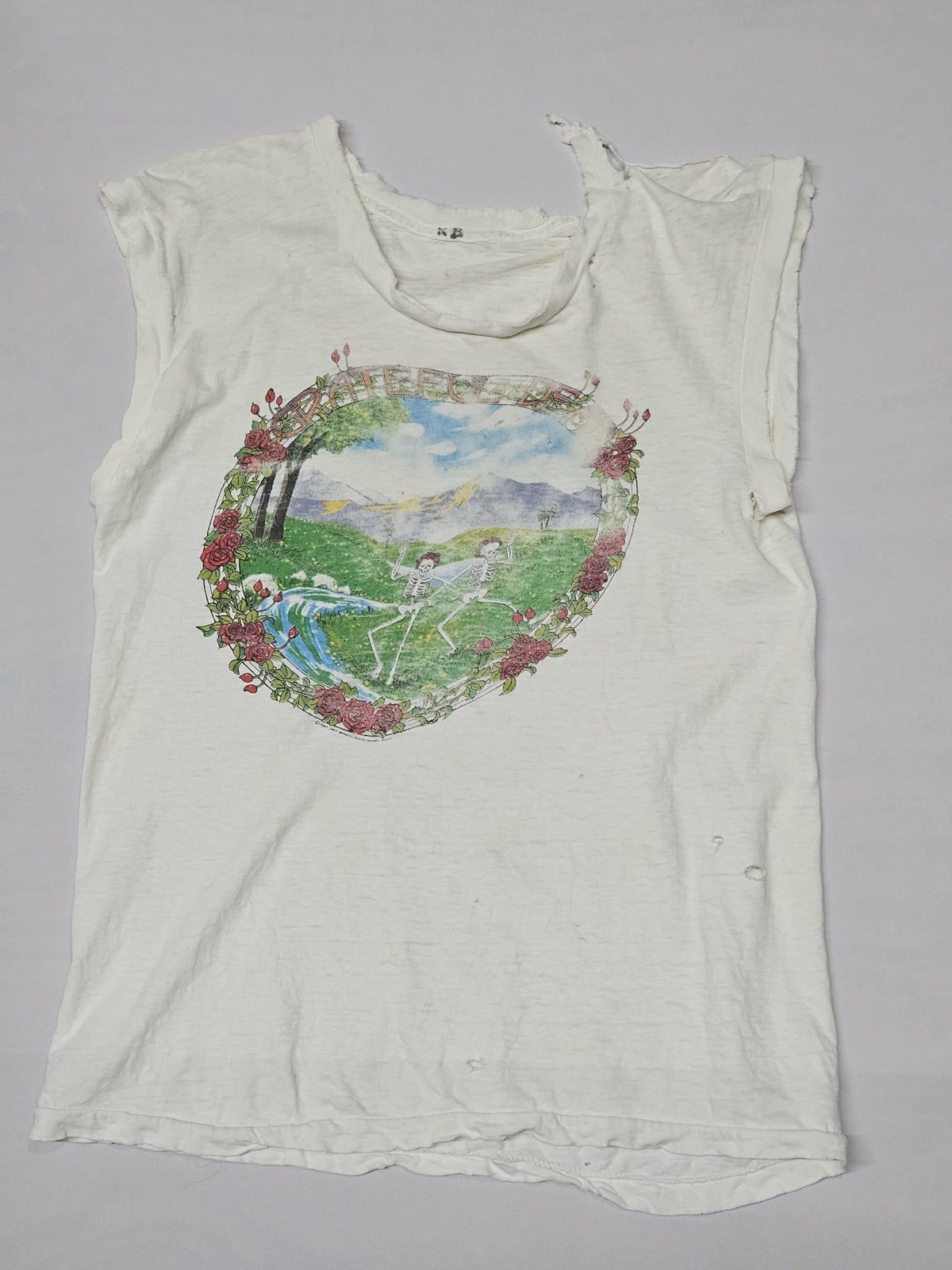 Vtg Grateful Dead Tour T Shirt Sleeveless Sz L Cropped 1974 Graphic Skull Flower