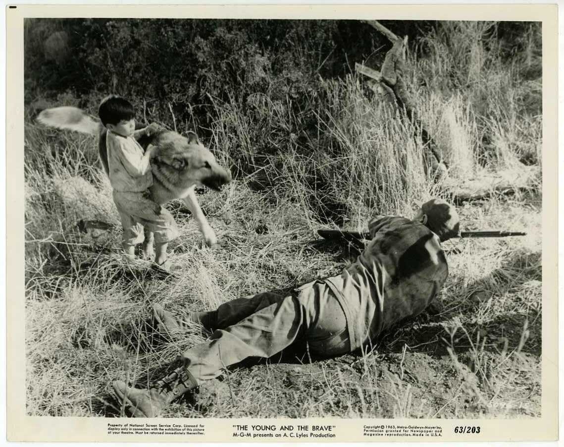 The Young and the Brave 1963 Original MGM Still Photo – Soldier and Boy