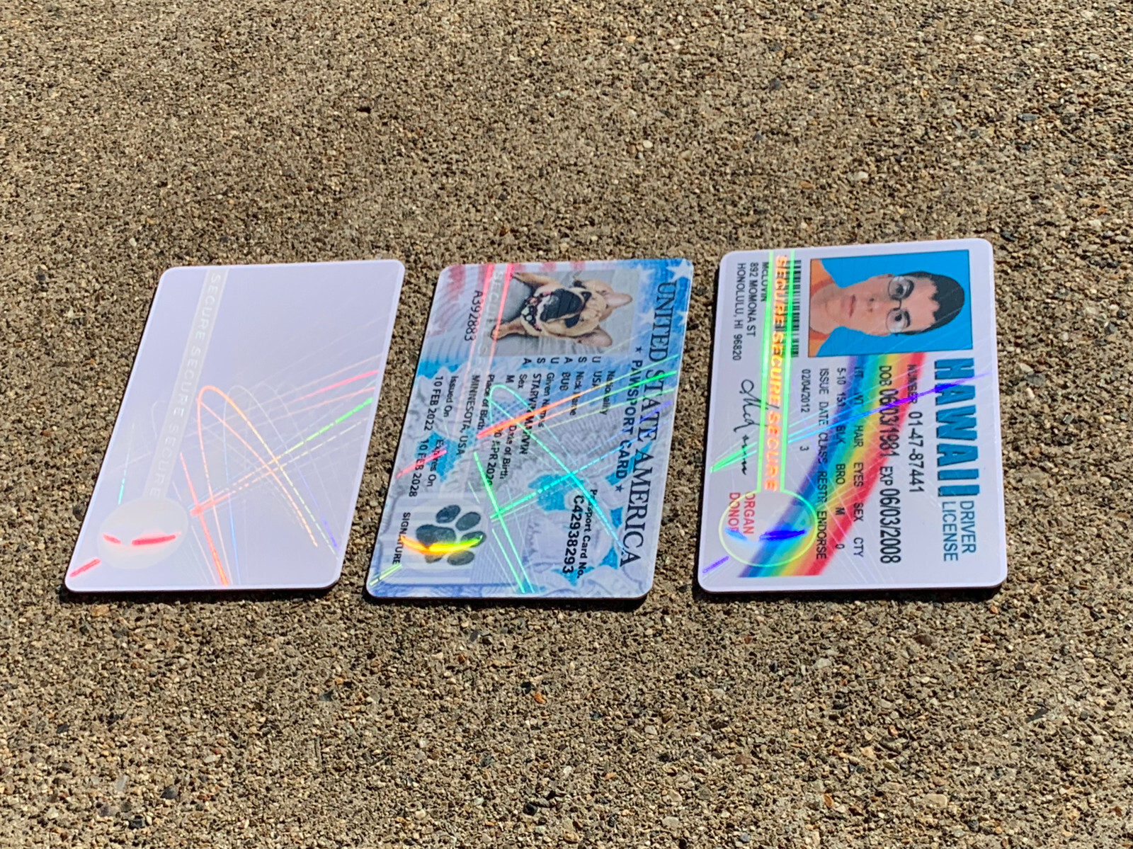 Hologram Overlays – Web & Earth ID Card Teslin / 100 pack / PVC ID CARD