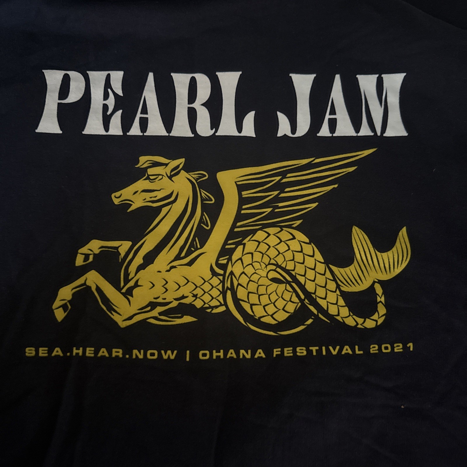 Pearl Jam SEA HEAR NOW Ohana Festival Hoodie Small/Medium Blue Double Sided
