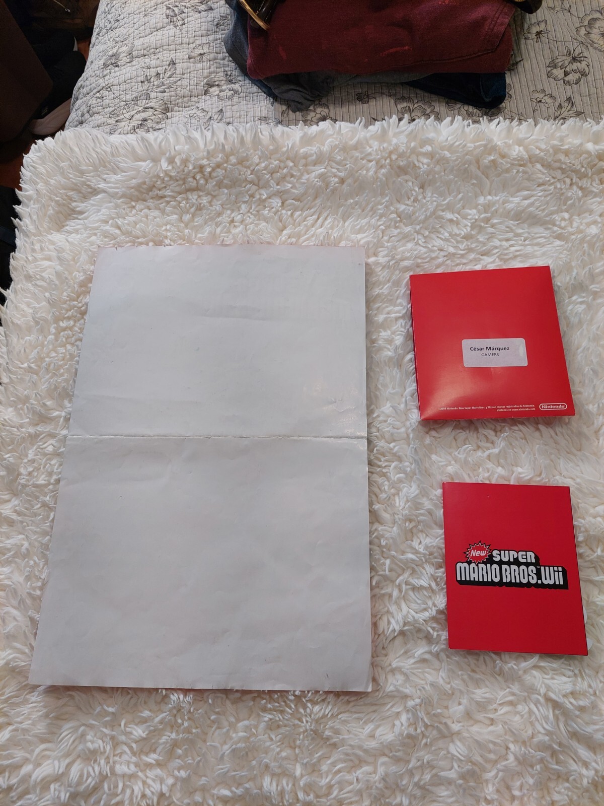 CHARLES MARTINET SIGNED set SUPER MARIO BROS. WII 12×18 NINTENDO