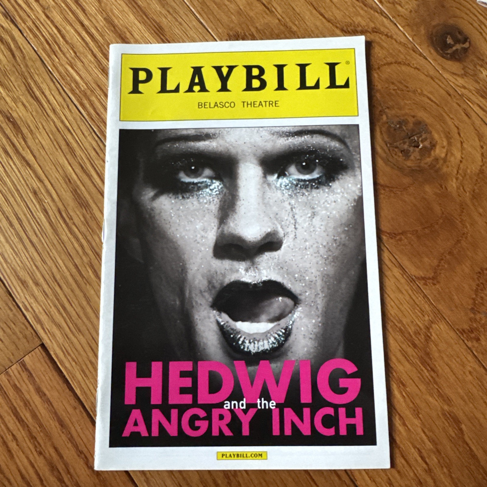 HEDWIG & THE ANGRY INCH 2014 Broadway Playbill NEIL PATRICK HARRIS Lena Hall