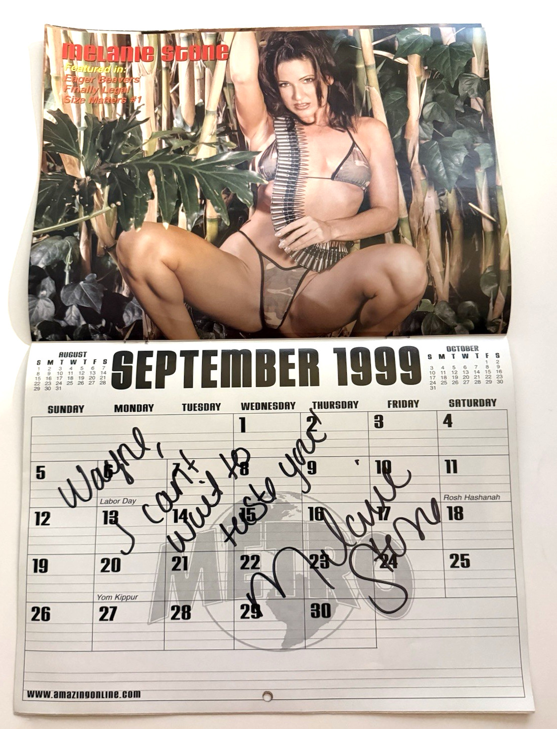 Metro Babes Illustrated hand SIGNED EVERY MONTH Swimsuit Calendar Porn Stars COA