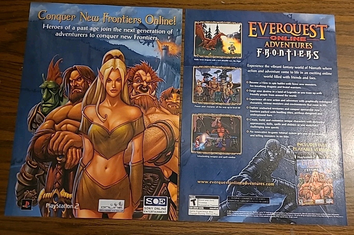 Everquest Online Adventures Frontiers Video Game 2003 Print Ad 11X16