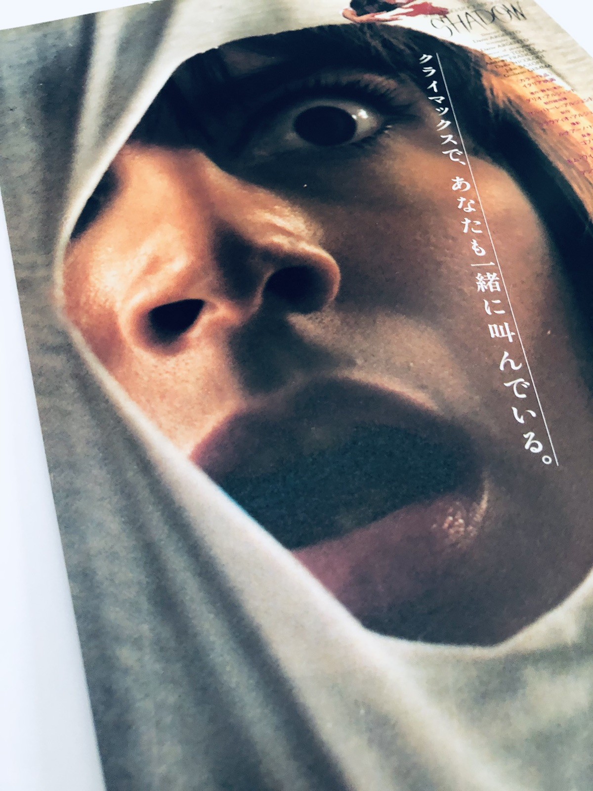 Original Tenebrae 1982 Dario Argento Daria Nicolodi Japanese Movie Flyer B5